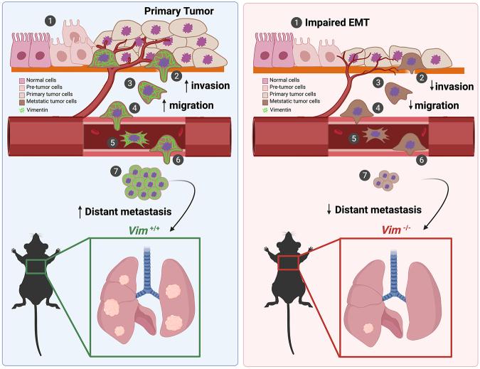 https://cdn.ncbi.nlm.nih.gov/pmc/blobs/bec1/9067405/781163b1588d/391f03.jpg