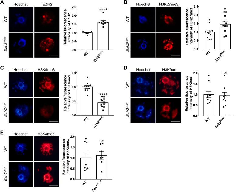 https://cdn.ncbi.nlm.nih.gov/pmc/blobs/bec2/9254527/371b7b2b54f5/12958_2022_962_Fig6_HTML.jpg