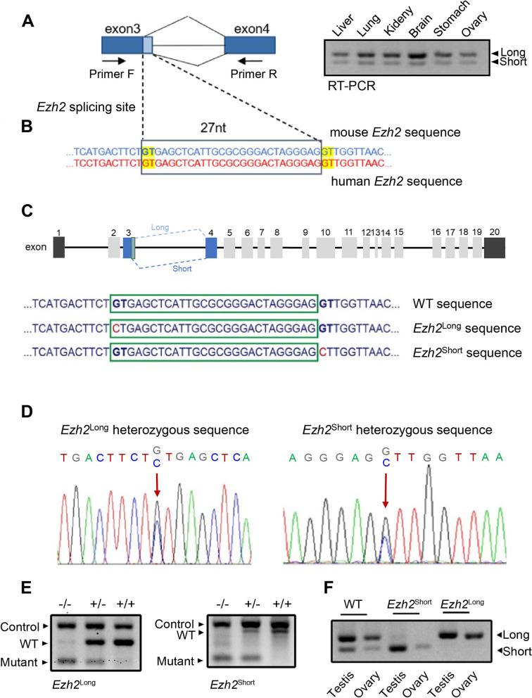 https://cdn.ncbi.nlm.nih.gov/pmc/blobs/bec2/9254527/8d049c2995b7/12958_2022_962_Fig1_HTML.jpg