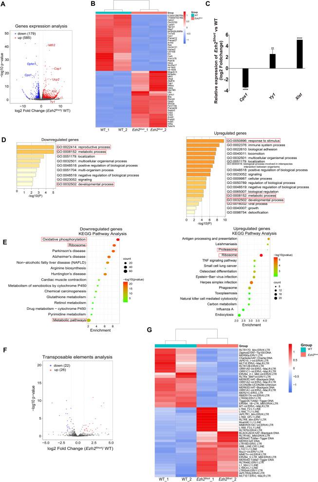 https://cdn.ncbi.nlm.nih.gov/pmc/blobs/bec2/9254527/8dcd8fdde2e0/12958_2022_962_Fig4_HTML.jpg