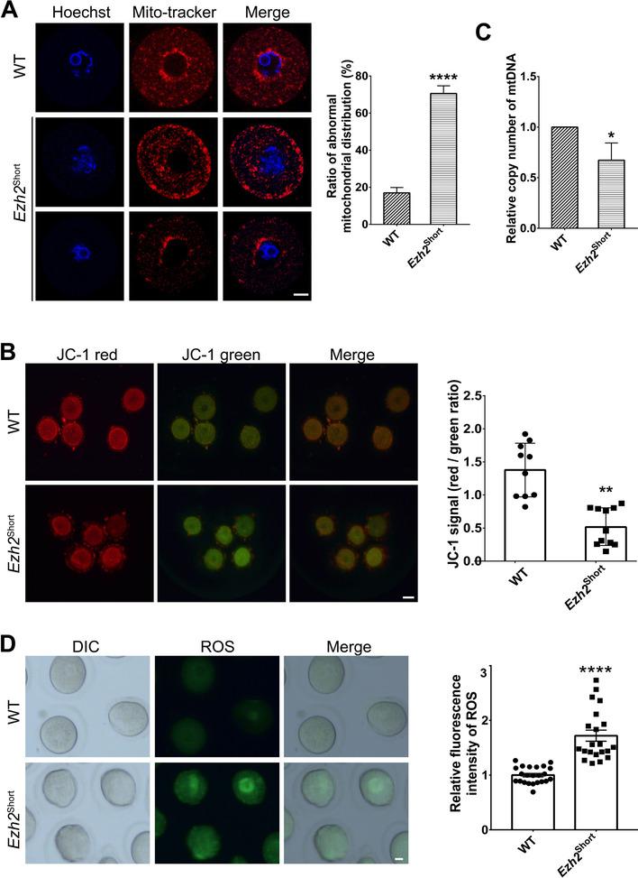 https://cdn.ncbi.nlm.nih.gov/pmc/blobs/bec2/9254527/c4cca8d8cb7f/12958_2022_962_Fig5_HTML.jpg