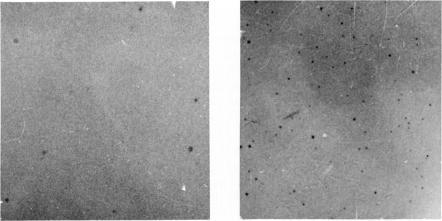https://cdn.ncbi.nlm.nih.gov/pmc/blobs/bec3/1712820/b08b8c42e724/clinexpimmunol00391-0124-a.jpg