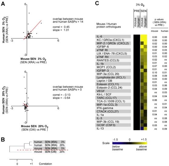 https://cdn.ncbi.nlm.nih.gov/pmc/blobs/bec4/2820538/058b8d7e711e/pone.0009188.g002.jpg
