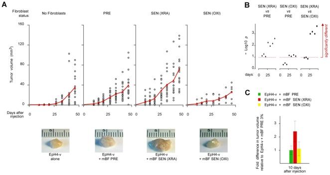 https://cdn.ncbi.nlm.nih.gov/pmc/blobs/bec4/2820538/5452332ea3f4/pone.0009188.g007.jpg