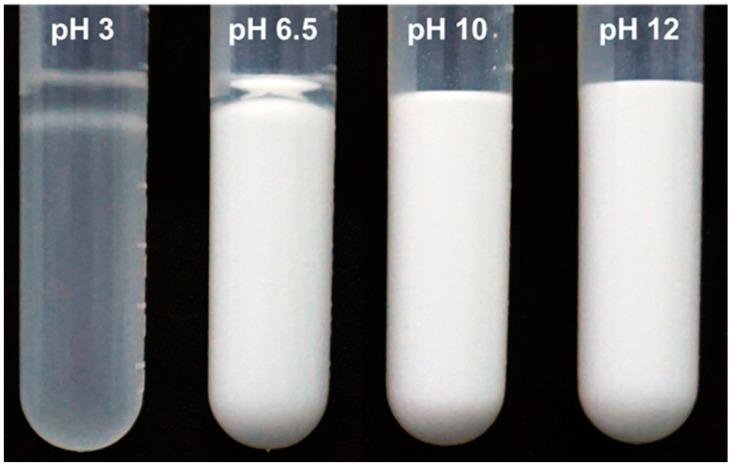 https://cdn.ncbi.nlm.nih.gov/pmc/blobs/bec5/8227844/231e6fd71eec/nanomaterials-11-01390-g008.jpg