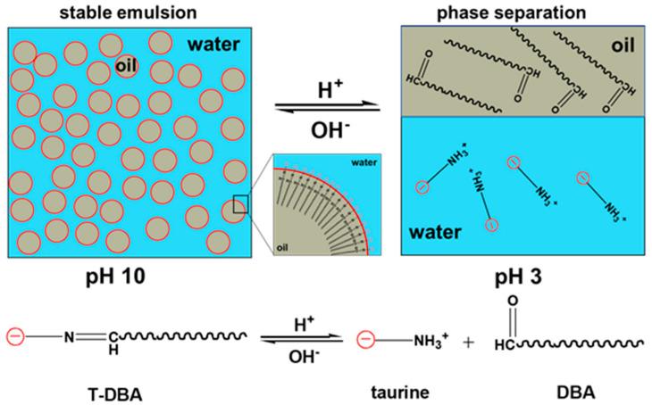 https://cdn.ncbi.nlm.nih.gov/pmc/blobs/bec5/8227844/438f0a232a41/nanomaterials-11-01390-g011.jpg