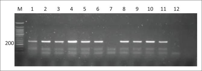 https://cdn.ncbi.nlm.nih.gov/pmc/blobs/becd/6138211/6779535d9608/JSAVA-88-1416-g001.jpg