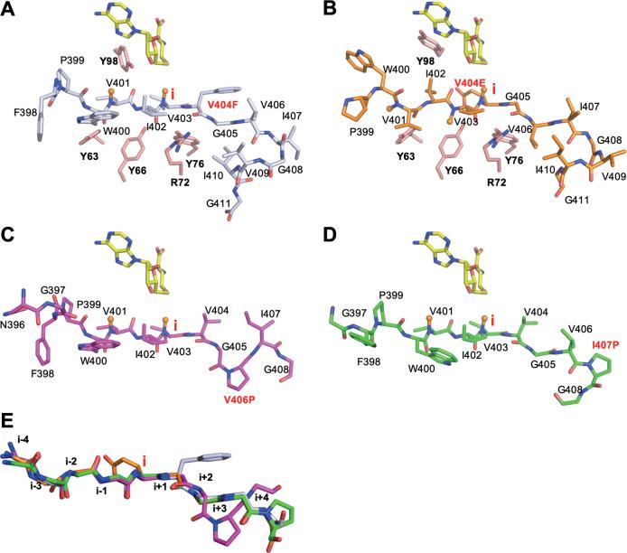 https://cdn.ncbi.nlm.nih.gov/pmc/blobs/becd/7372559/0e60f3772062/cb0c00237_0006.jpg