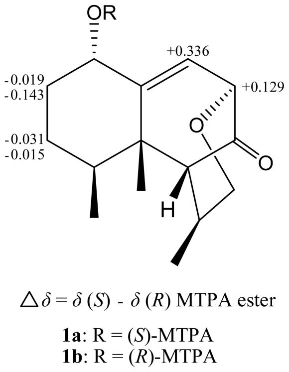 https://cdn.ncbi.nlm.nih.gov/pmc/blobs/bece/3225934/13a8029306b3/marinedrugs-09-01543f3.jpg