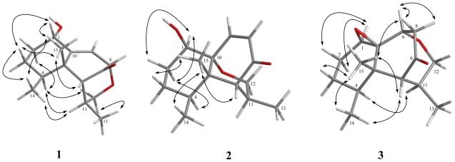 https://cdn.ncbi.nlm.nih.gov/pmc/blobs/bece/3225934/f2e55311d74b/marinedrugs-09-01543f2.jpg