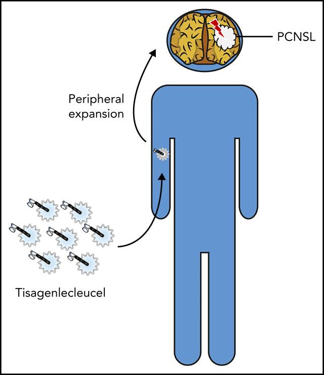 https://cdn.ncbi.nlm.nih.gov/pmc/blobs/bed1/9012129/75ad26af88e5/bloodBLD2021014738absf1.jpg