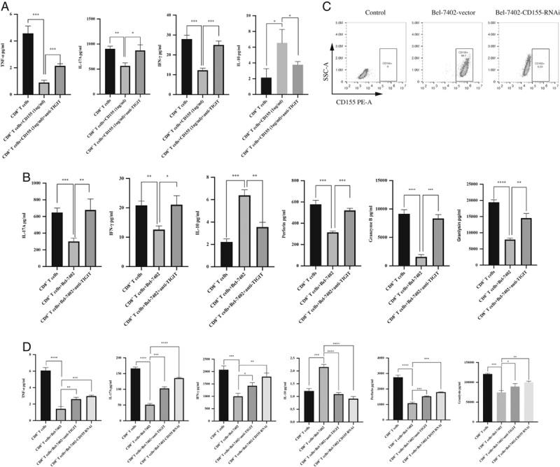 https://cdn.ncbi.nlm.nih.gov/pmc/blobs/bed2/7566309/f0fad26d384c/cji-43-236-g003.jpg