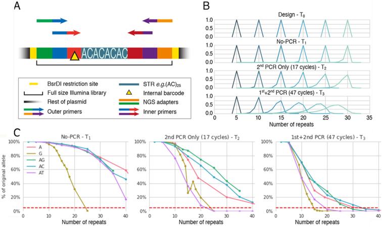 https://cdn.ncbi.nlm.nih.gov/pmc/blobs/bed3/6412005/f2032e4d551a/gky1318fig1.jpg