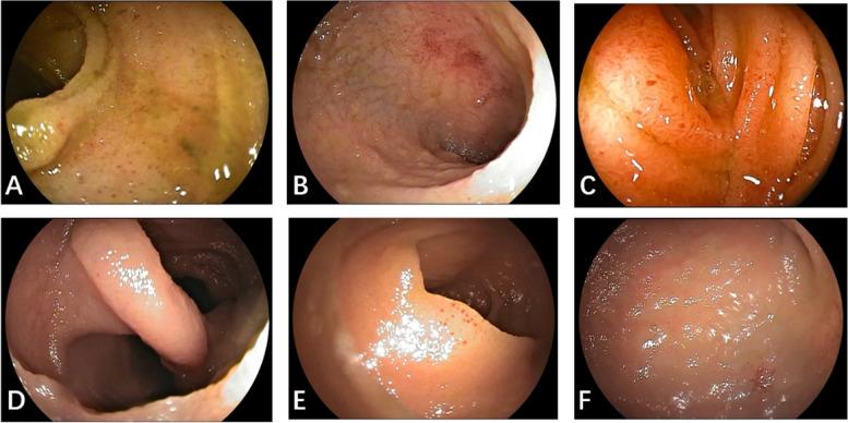 https://cdn.ncbi.nlm.nih.gov/pmc/blobs/bed5/10759410/67d4785c8c7e/12876_2023_3067_Fig3_HTML.jpg