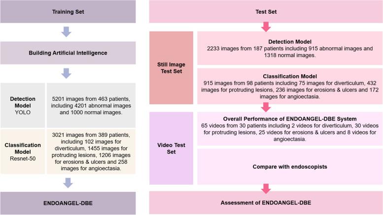 https://cdn.ncbi.nlm.nih.gov/pmc/blobs/bed5/10759410/812394ae1577/12876_2023_3067_Fig2_HTML.jpg