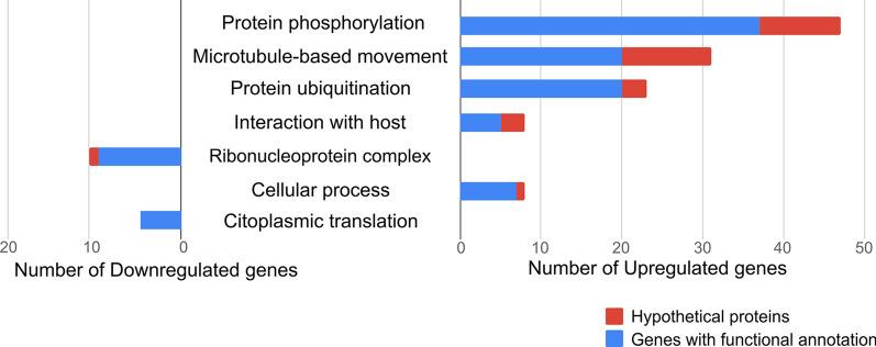 https://cdn.ncbi.nlm.nih.gov/pmc/blobs/bed5/7706067/3b3b4736d57b/13071_2020_4486_Fig4_HTML.jpg