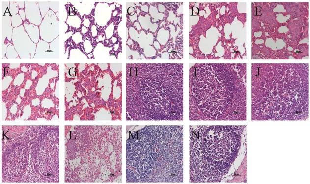 https://cdn.ncbi.nlm.nih.gov/pmc/blobs/bed6/5862802/eba8af366089/fmicb-09-00455-g006.jpg
