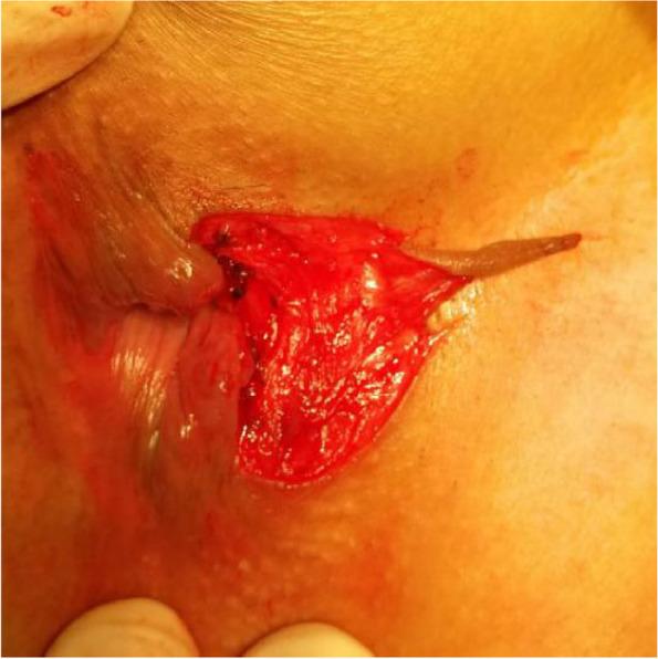 https://cdn.ncbi.nlm.nih.gov/pmc/blobs/beda/10363312/01054b927451/13063_2023_7495_Fig5_HTML.jpg