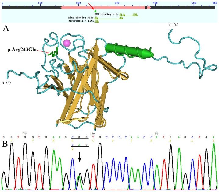 https://cdn.ncbi.nlm.nih.gov/pmc/blobs/beda/5983954/78d8b3980ef7/MMR-17-06-7553-g02.jpg