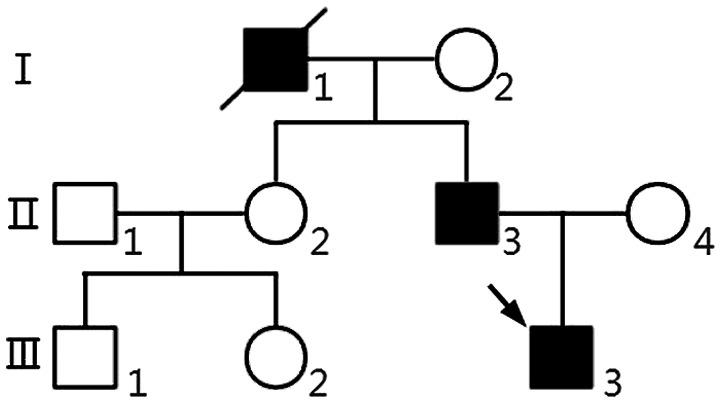 https://cdn.ncbi.nlm.nih.gov/pmc/blobs/beda/5983954/ec11fe3e3ab7/MMR-17-06-7553-g00.jpg