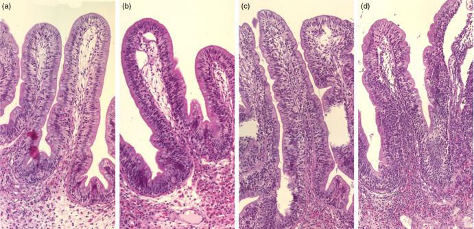 https://cdn.ncbi.nlm.nih.gov/pmc/blobs/bedc/10404481/d34e3bc52256/S000711452200383X_fig3.jpg