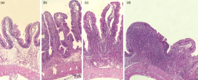 https://cdn.ncbi.nlm.nih.gov/pmc/blobs/bedc/10404481/f248d41dcb86/S000711452200383X_fig2.jpg