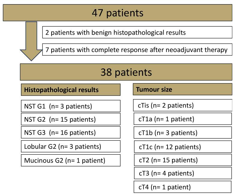 https://cdn.ncbi.nlm.nih.gov/pmc/blobs/bedc/11353399/f0a1e46ec0d5/diagnostics-14-01742-g001.jpg