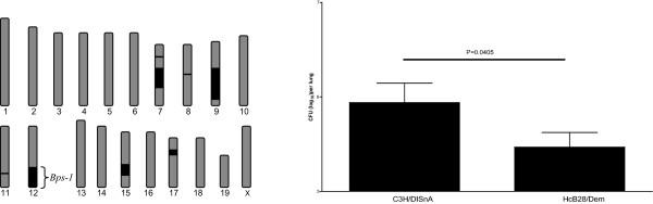 https://cdn.ncbi.nlm.nih.gov/pmc/blobs/bedd/2174938/361943ee4458/1471-2180-7-88-1.jpg
