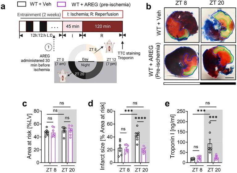 https://cdn.ncbi.nlm.nih.gov/pmc/blobs/bedf/10925443/340efdc0dd7b/nihpp-rs3938716v1-f0018.jpg