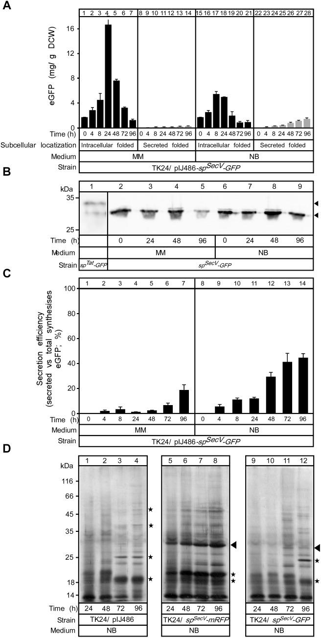 https://cdn.ncbi.nlm.nih.gov/pmc/blobs/bee0/6292873/4aa120aaa89e/fmicb-09-03019-g006.jpg