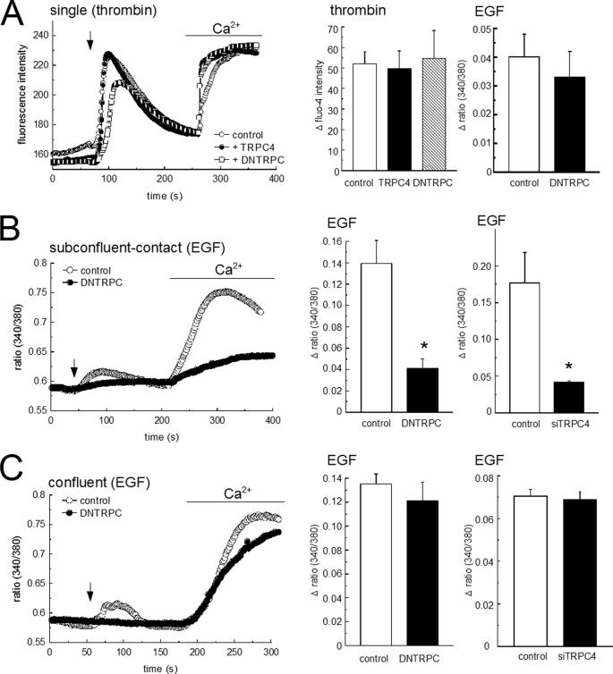 https://cdn.ncbi.nlm.nih.gov/pmc/blobs/bee2/2823560/6da79b953daa/zbc0091005150003.jpg