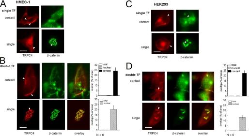 https://cdn.ncbi.nlm.nih.gov/pmc/blobs/bee2/2823560/a76497baf350/zbc0091005150005.jpg