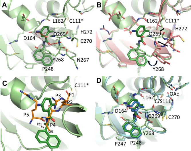 https://cdn.ncbi.nlm.nih.gov/pmc/blobs/bee2/8323248/8fa7b62d69b0/oc1c00519_0007.jpg
