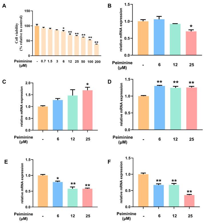https://cdn.ncbi.nlm.nih.gov/pmc/blobs/bee3/12027391/6ccd614a1574/ijms-26-03506-g008.jpg