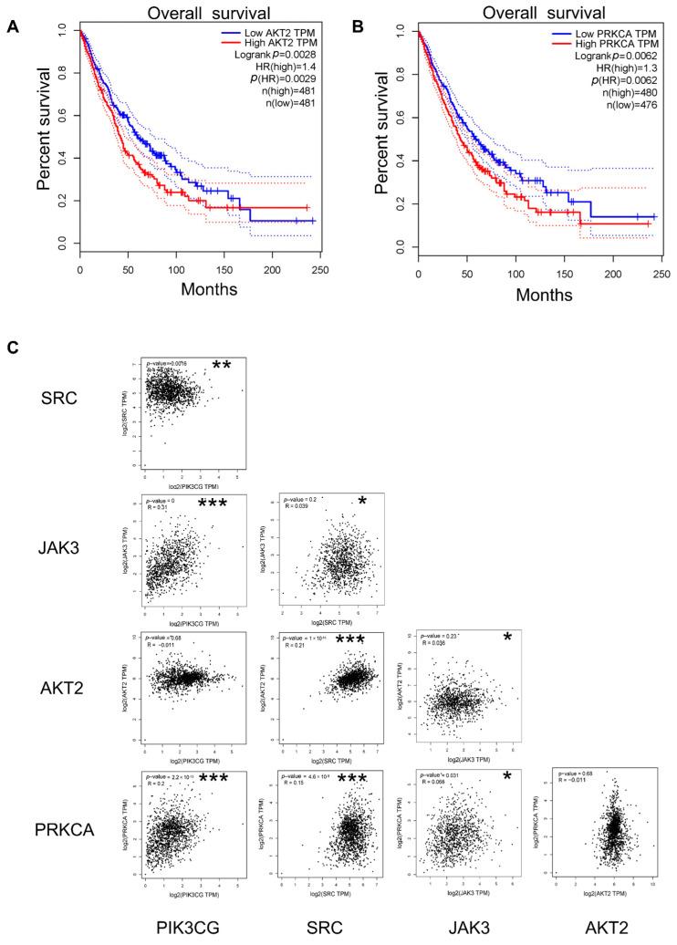 https://cdn.ncbi.nlm.nih.gov/pmc/blobs/bee3/12027391/8fc5e903ccea/ijms-26-03506-g007.jpg