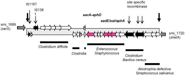 https://cdn.ncbi.nlm.nih.gov/pmc/blobs/bee4/2828477/3e63ca93d8c4/pone.0009426.g002.jpg
