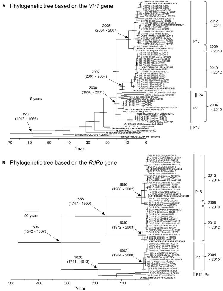 https://cdn.ncbi.nlm.nih.gov/pmc/blobs/bee6/5403926/f044cefdd617/fmicb-08-00705-g0002.jpg