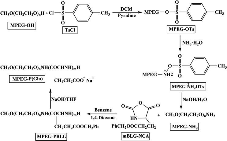 https://cdn.ncbi.nlm.nih.gov/pmc/blobs/bee6/7982401/d18292a737f8/fphar-12-632877-g002.jpg