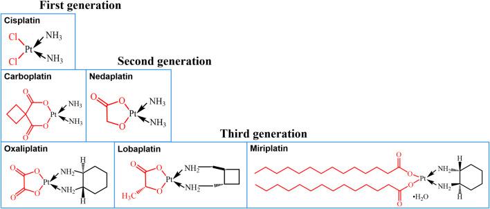 https://cdn.ncbi.nlm.nih.gov/pmc/blobs/bee6/7982401/d8138fb1a5e6/fphar-12-632877-g001.jpg
