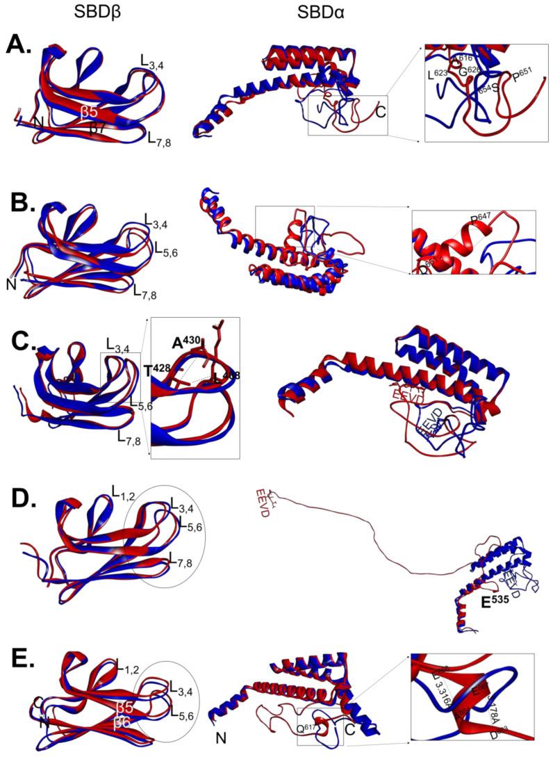 https://cdn.ncbi.nlm.nih.gov/pmc/blobs/beeb/7926355/3306af40af14/ijms-22-02226-g002.jpg