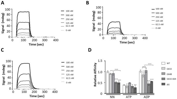 https://cdn.ncbi.nlm.nih.gov/pmc/blobs/beeb/7926355/95ce4178dca4/ijms-22-02226-g005.jpg