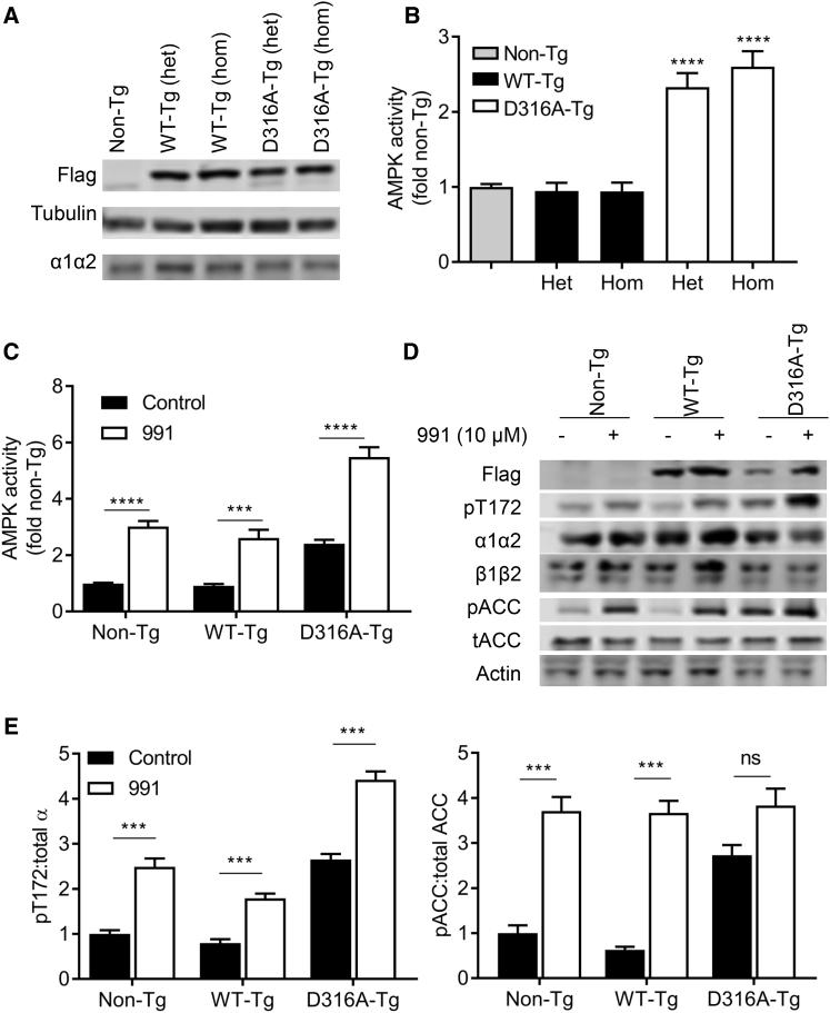https://cdn.ncbi.nlm.nih.gov/pmc/blobs/beef/5382239/6c52db5cf305/gr2.jpg