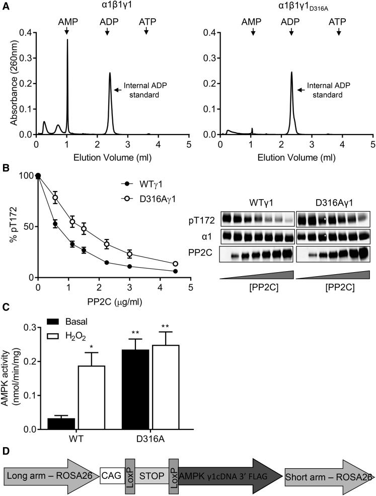 https://cdn.ncbi.nlm.nih.gov/pmc/blobs/beef/5382239/8cb944bdf5eb/gr1.jpg