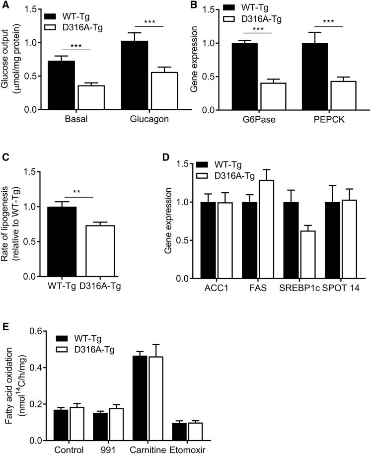 https://cdn.ncbi.nlm.nih.gov/pmc/blobs/beef/5382239/8f95de9c4a47/gr3.jpg