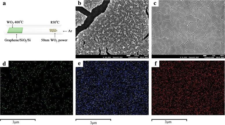 https://cdn.ncbi.nlm.nih.gov/pmc/blobs/bef0/6488632/3f768993d0d2/11671_2019_2975_Fig1_HTML.jpg