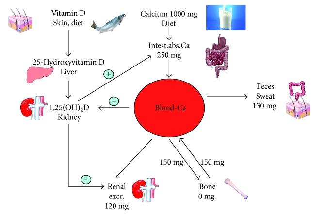 https://cdn.ncbi.nlm.nih.gov/pmc/blobs/bef1/5587949/f0f78f4249f1/IJE2017-3206240.001.jpg