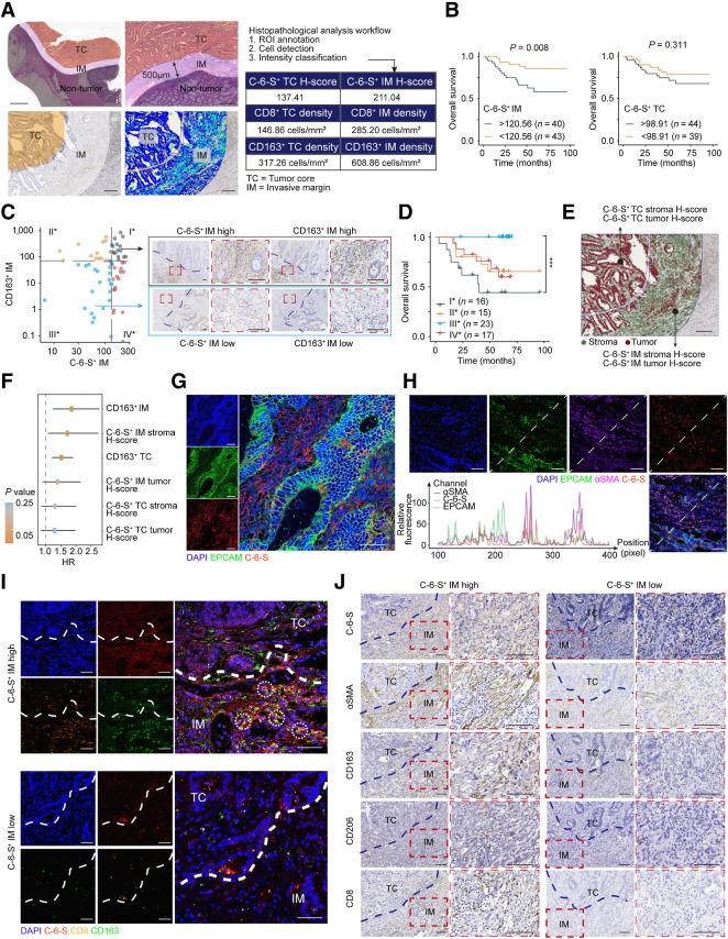https://cdn.ncbi.nlm.nih.gov/pmc/blobs/bef1/9414301/7e57f301c407/182fig3.jpg