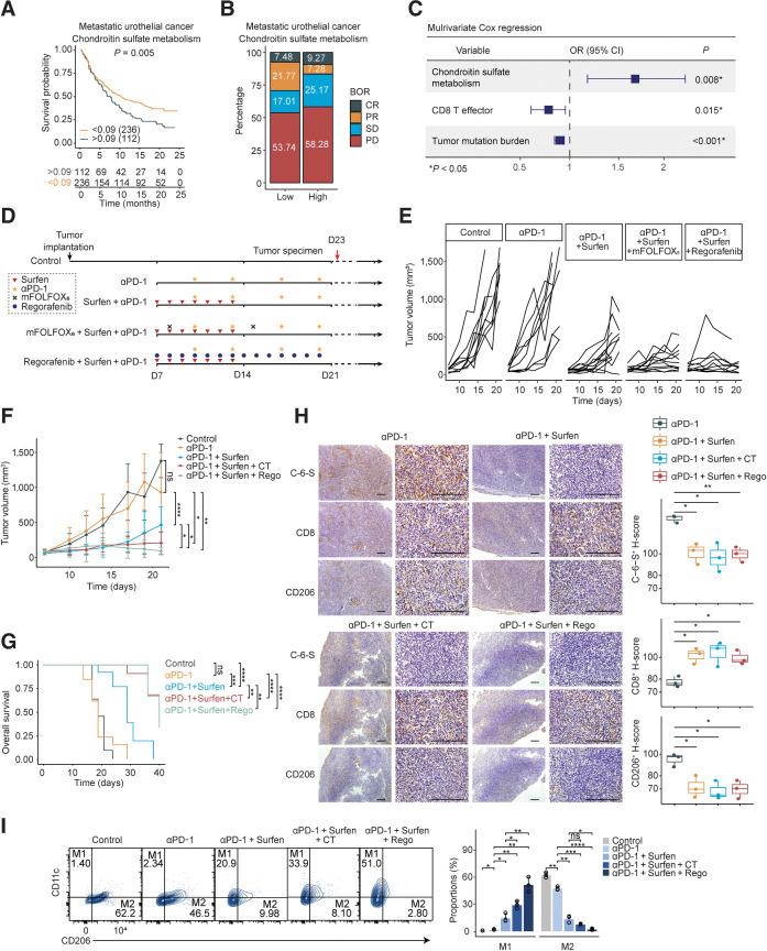 https://cdn.ncbi.nlm.nih.gov/pmc/blobs/bef1/9414301/8ab6deeafd52/182fig6.jpg