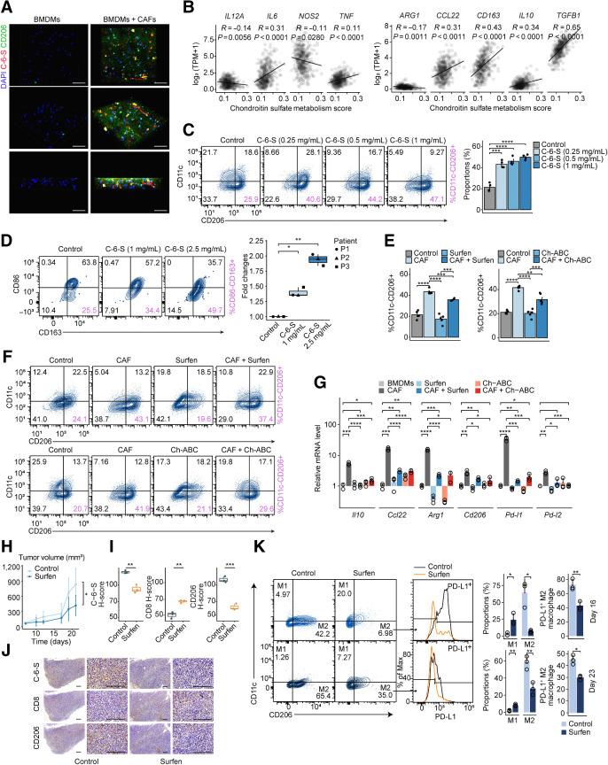 https://cdn.ncbi.nlm.nih.gov/pmc/blobs/bef1/9414301/d498bb39c408/182fig4.jpg