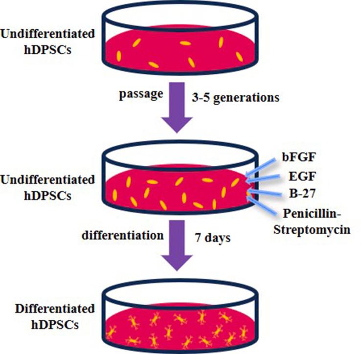 https://cdn.ncbi.nlm.nih.gov/pmc/blobs/bef2/11407977/03192fa1f1d6/mmcfigs1.jpg